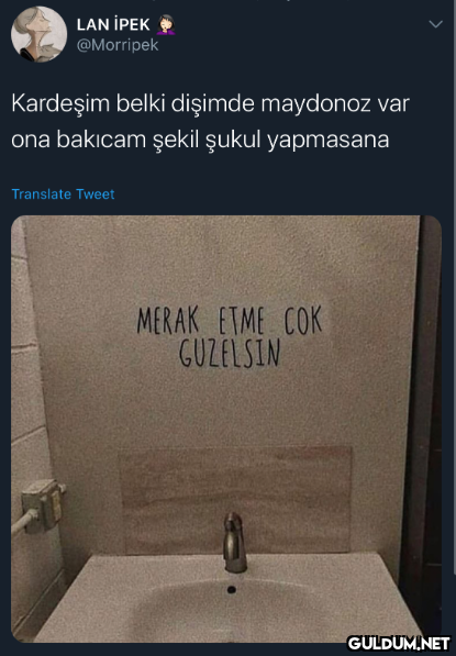 LAN İPEK @Morripek...