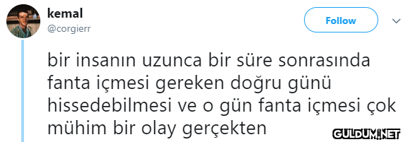 kemal Follow @corgierr bir...