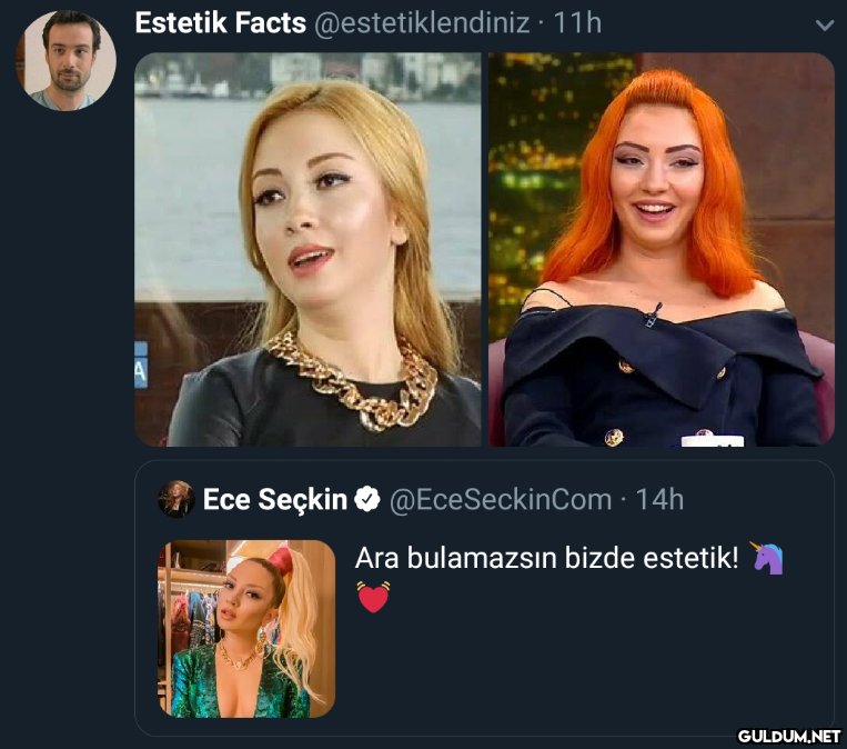 Estetik Facts...
