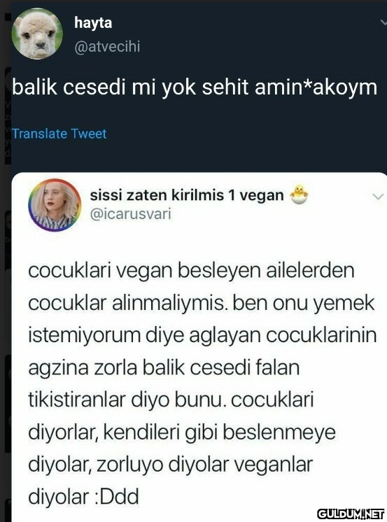 hayta @atvecihi balik...
