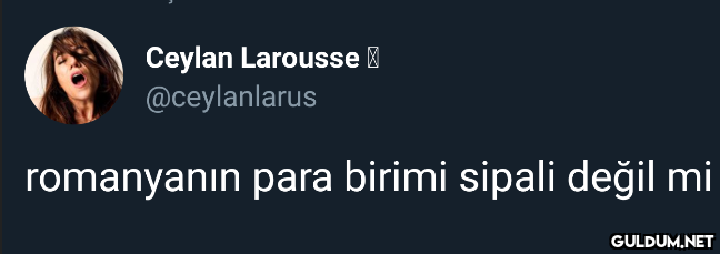 Ceylan Larousse I...