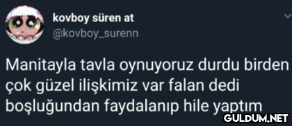 kovboy süren at...