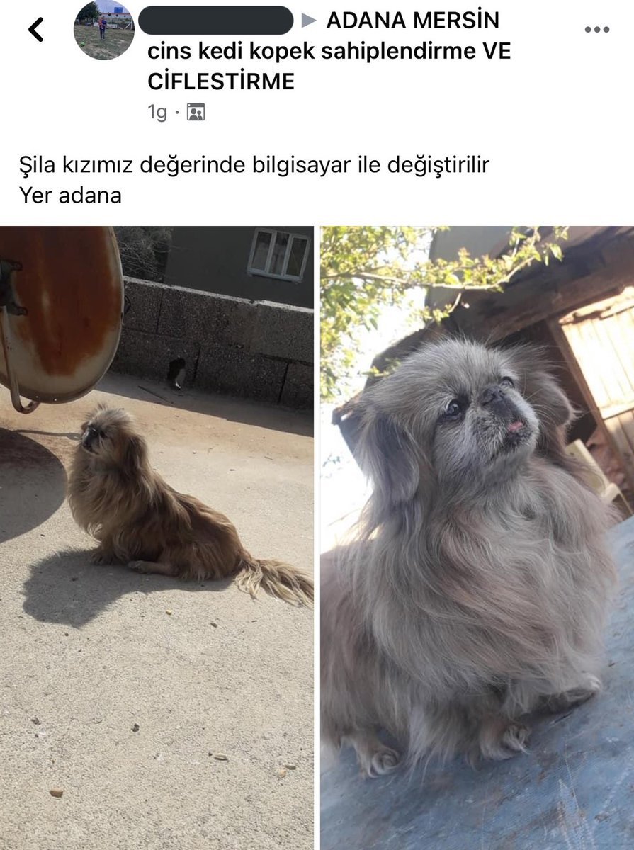 doğru söyleyin ekonomi o...