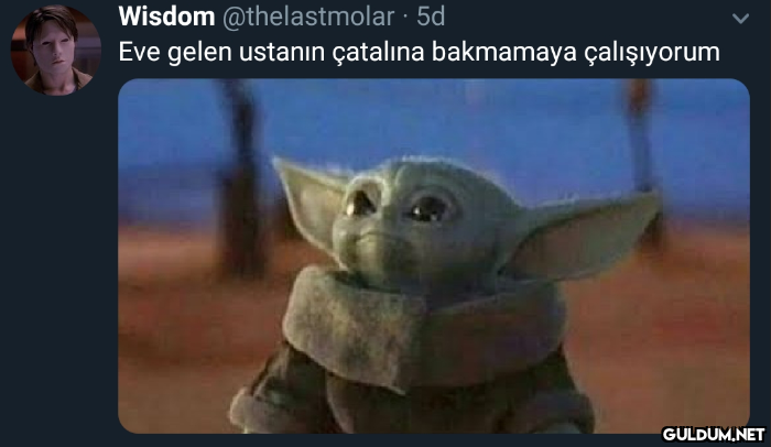 Wisdom @thelastmolar · 5d...