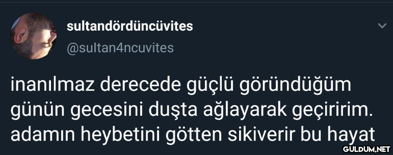 sultandördüncüvites...