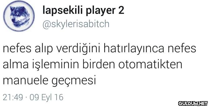 lapsekili player 2...