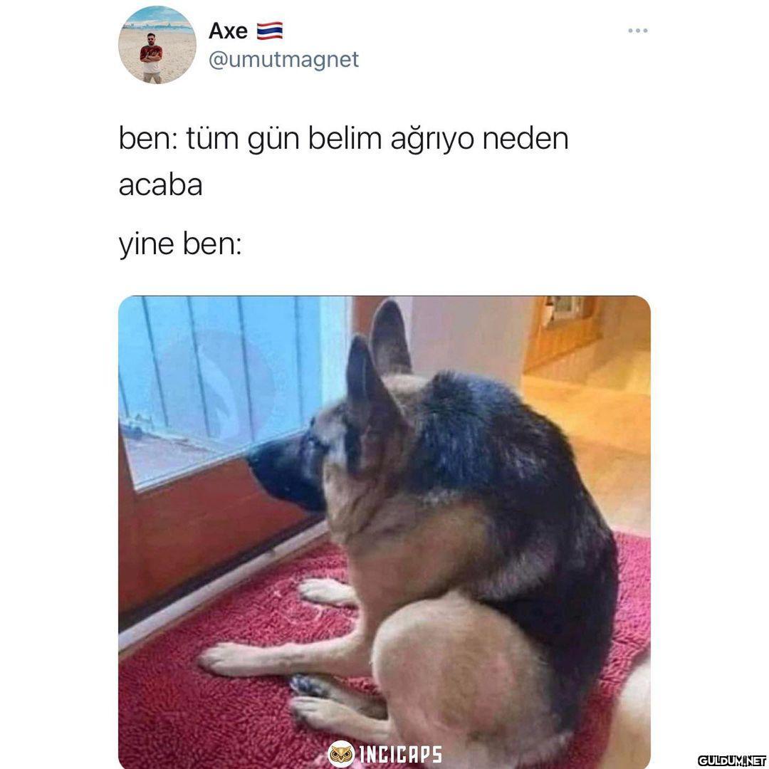 Axe E ... @umutmagnet ben:...