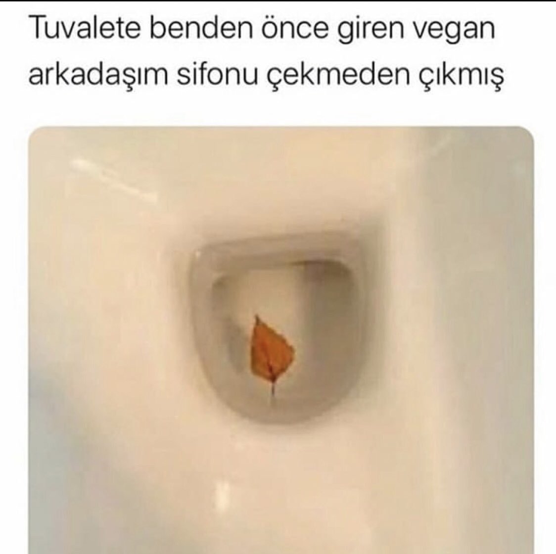 Tuvalete benden önce giren...