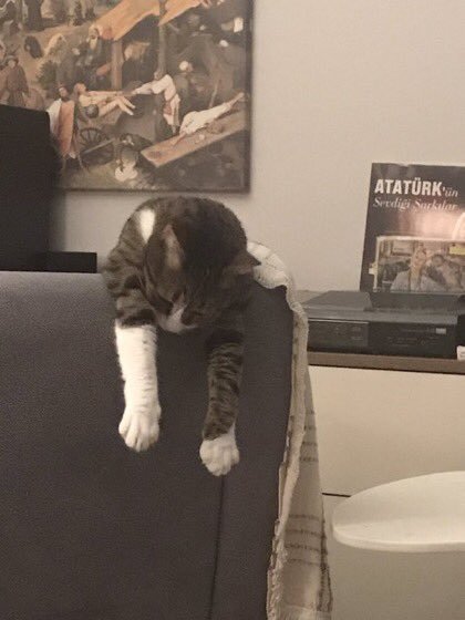 özür dileriz kral yav...
