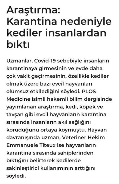 özür dileriz kral yav...