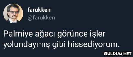 farukken @farukken Palmiye...