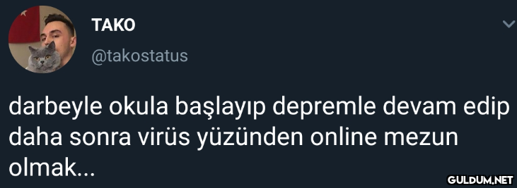 TAKO @takostatus darbeyle...