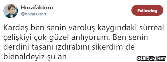 Hocafaktörü Following...
