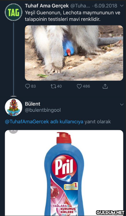 Tuhaf Ama Gerçek @Tuha. ·...
