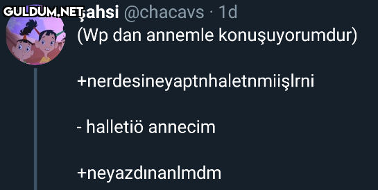şahsi @chacavs · 1d (Wp...