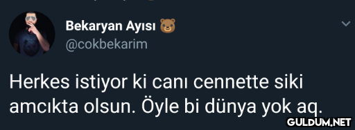 Bekaryan Ayısı S...