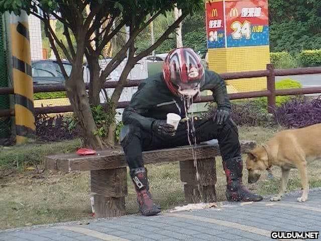 anlamsız fotoğraflar 9383 ...