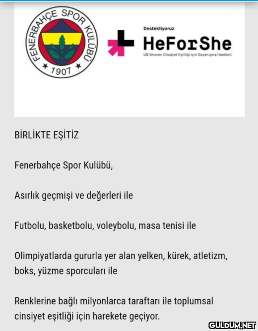 Bir sosyal medya...