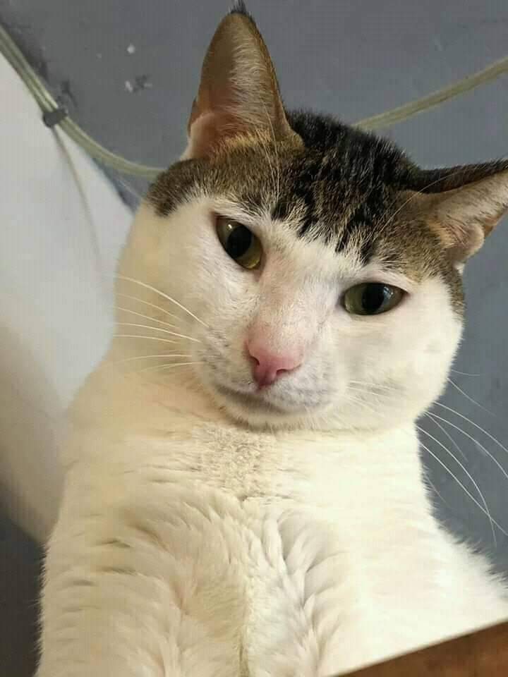 Kaynak