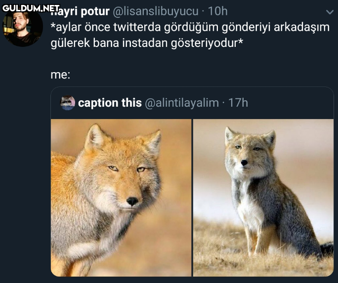 hayri potur...