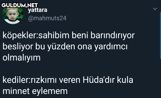 yattara @mahmuts24...