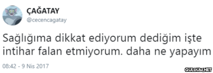ÇAĞATAY @cecencagatay...