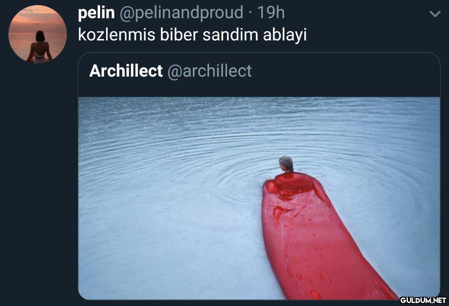 pelin @pelinandproud · 19h...