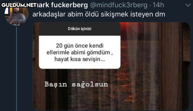 mark fuckerberg...