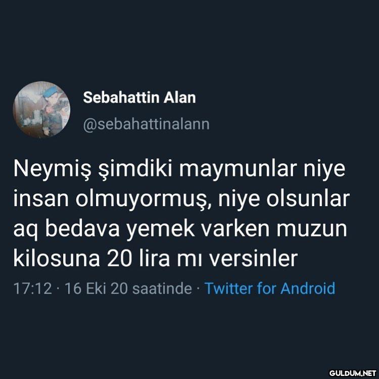 Sebahattin Alan...