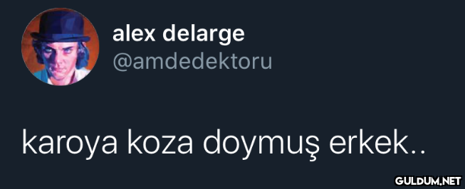 alex delarge @amdedektoru...
