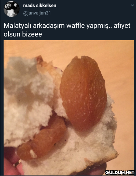 mads sikkelsen...