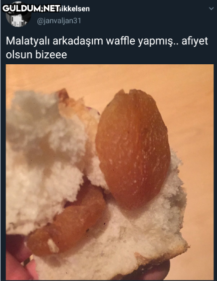 mads sikkelsen...