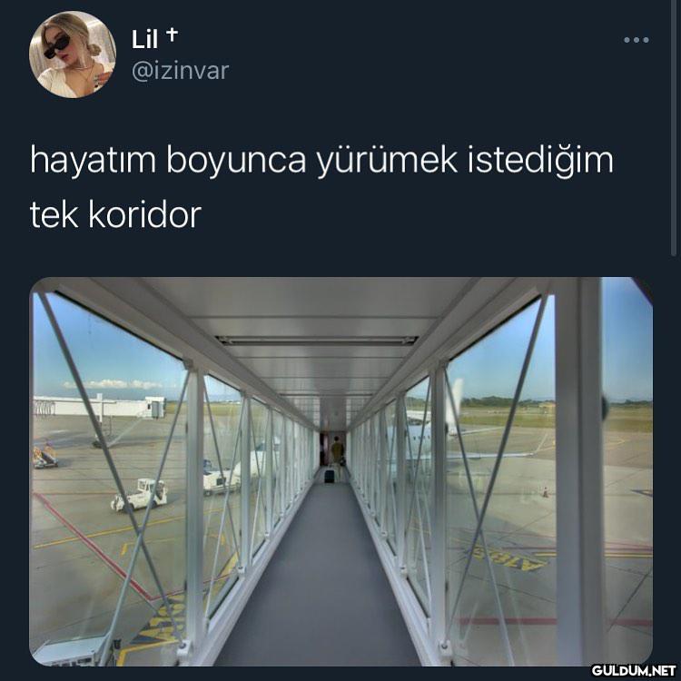 Terapi gibi  Lil +...