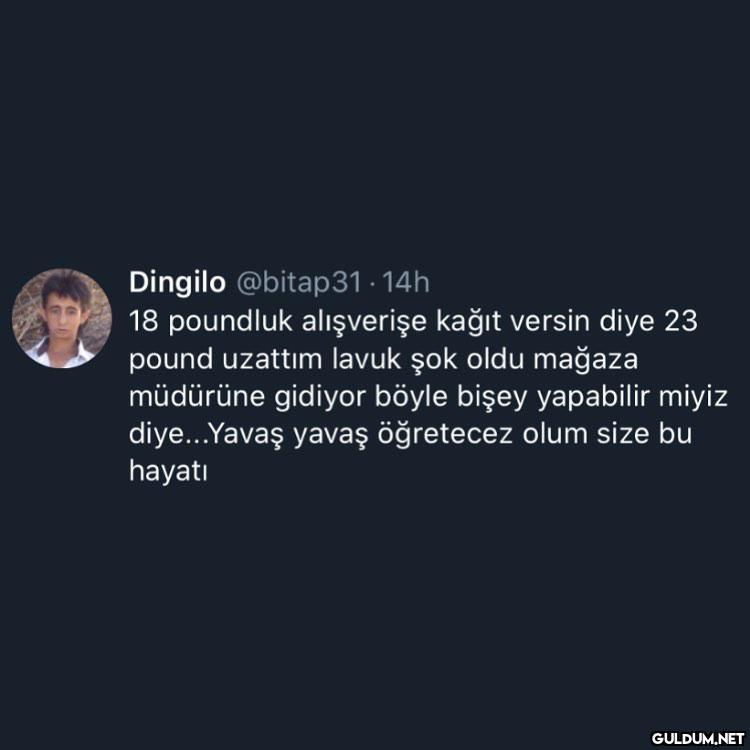 AKHSSJHAAKHAAJG  Dingilo...