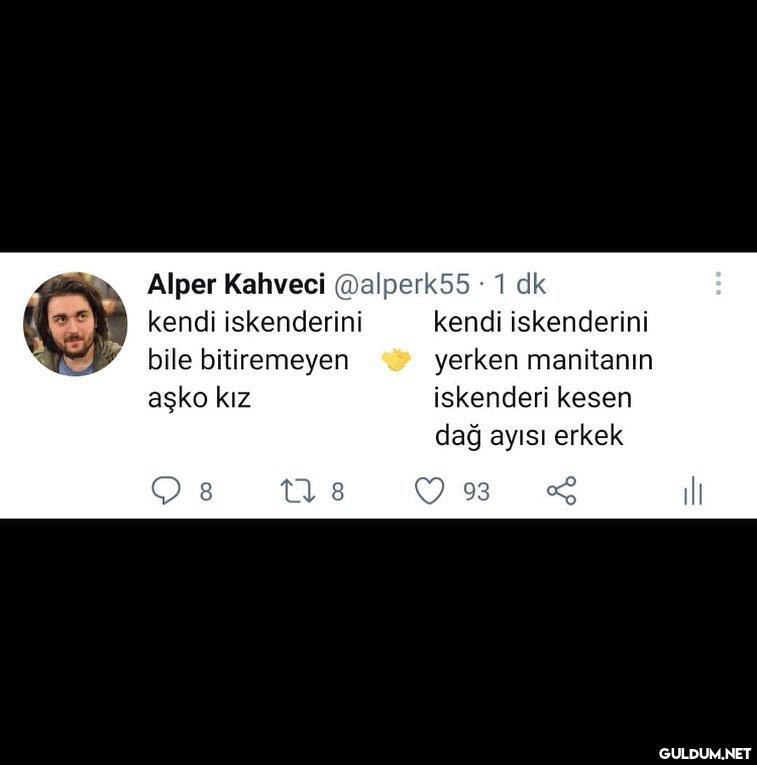 Dağ ayısı olduğumu...