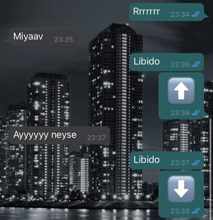 Rrrrrrr 23:34 / Miyaav...