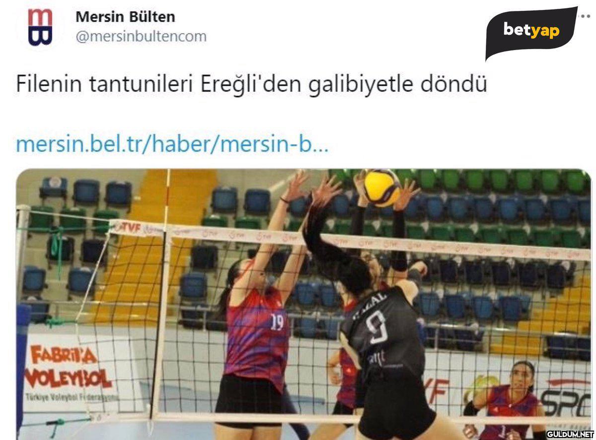 Filenin tantunileri mi...