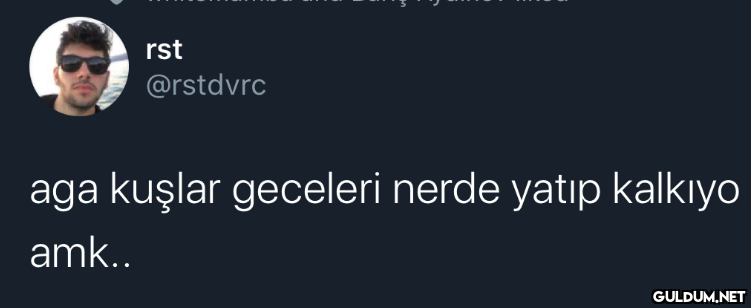 rst @rstdvrc aga kuşlar...