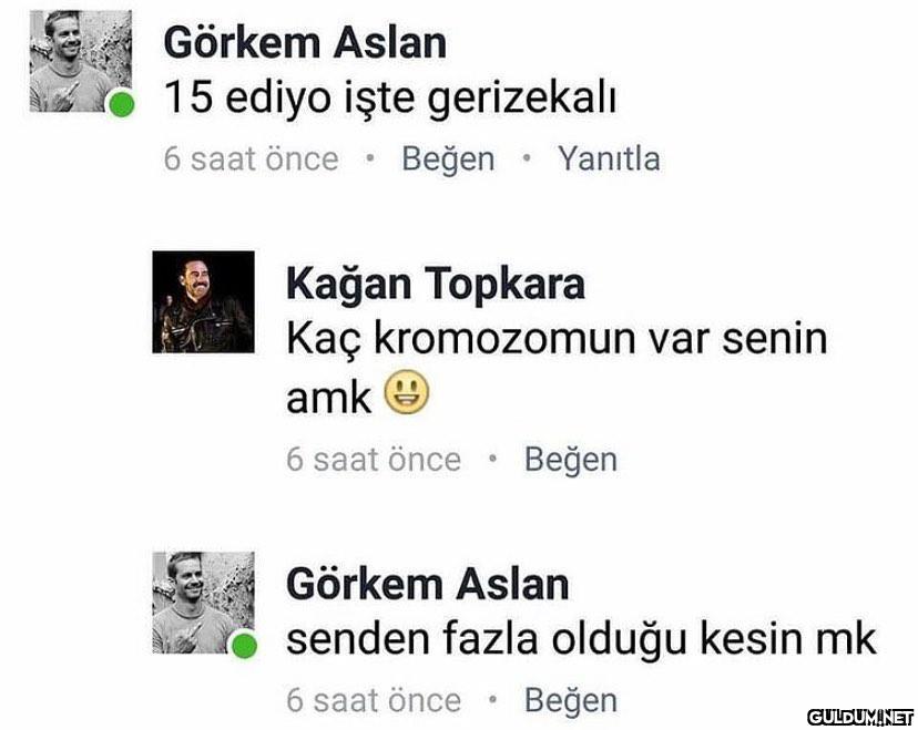 eğrelti otu görkem ile...