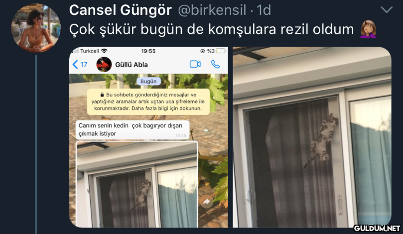 sayfamın telegram...