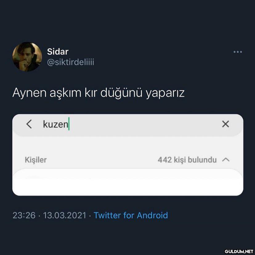 some dogulu problems ...