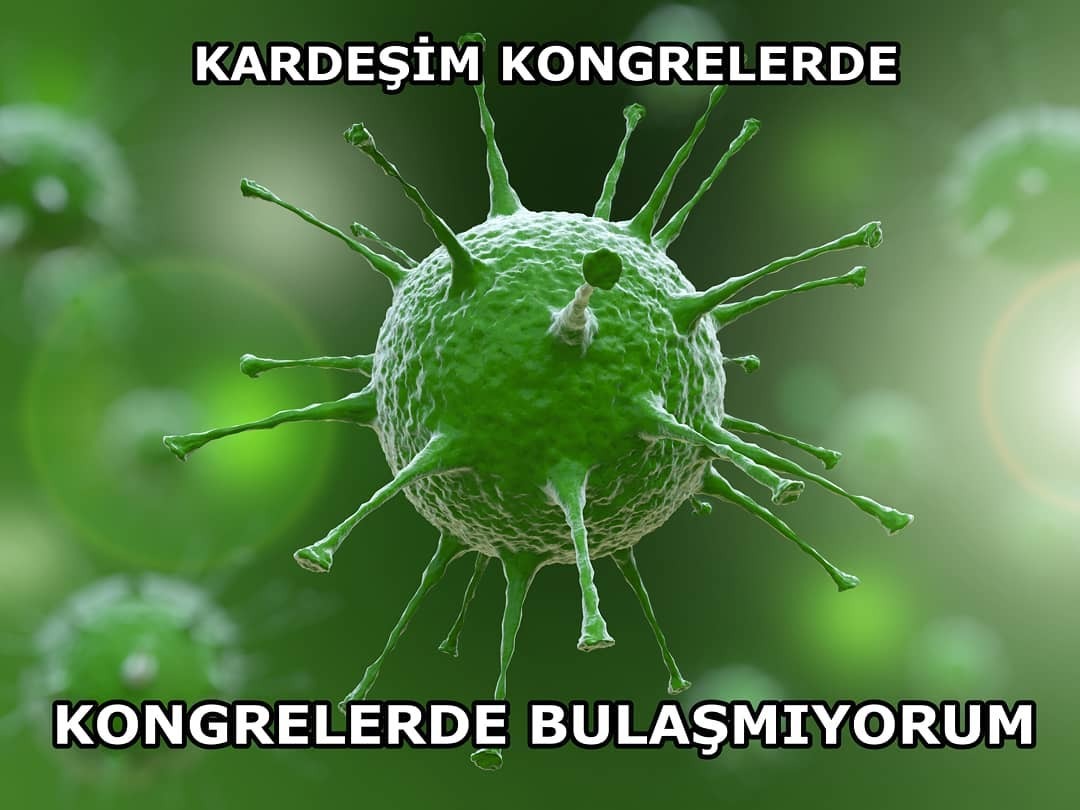 KARDEŞİM KONGRELERDE...