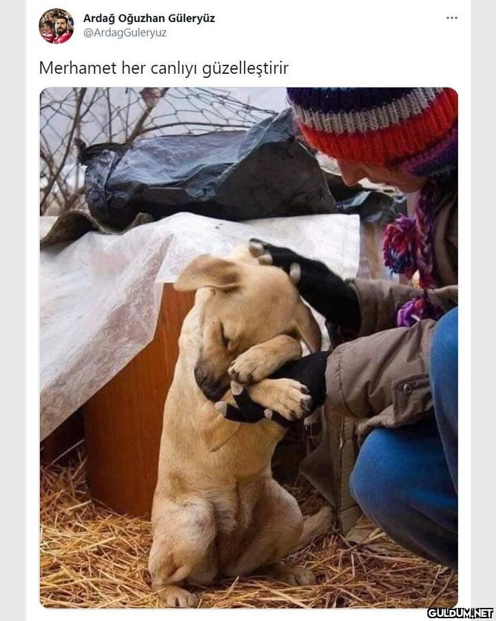 Ardağ oğuzhan Güleryüz...