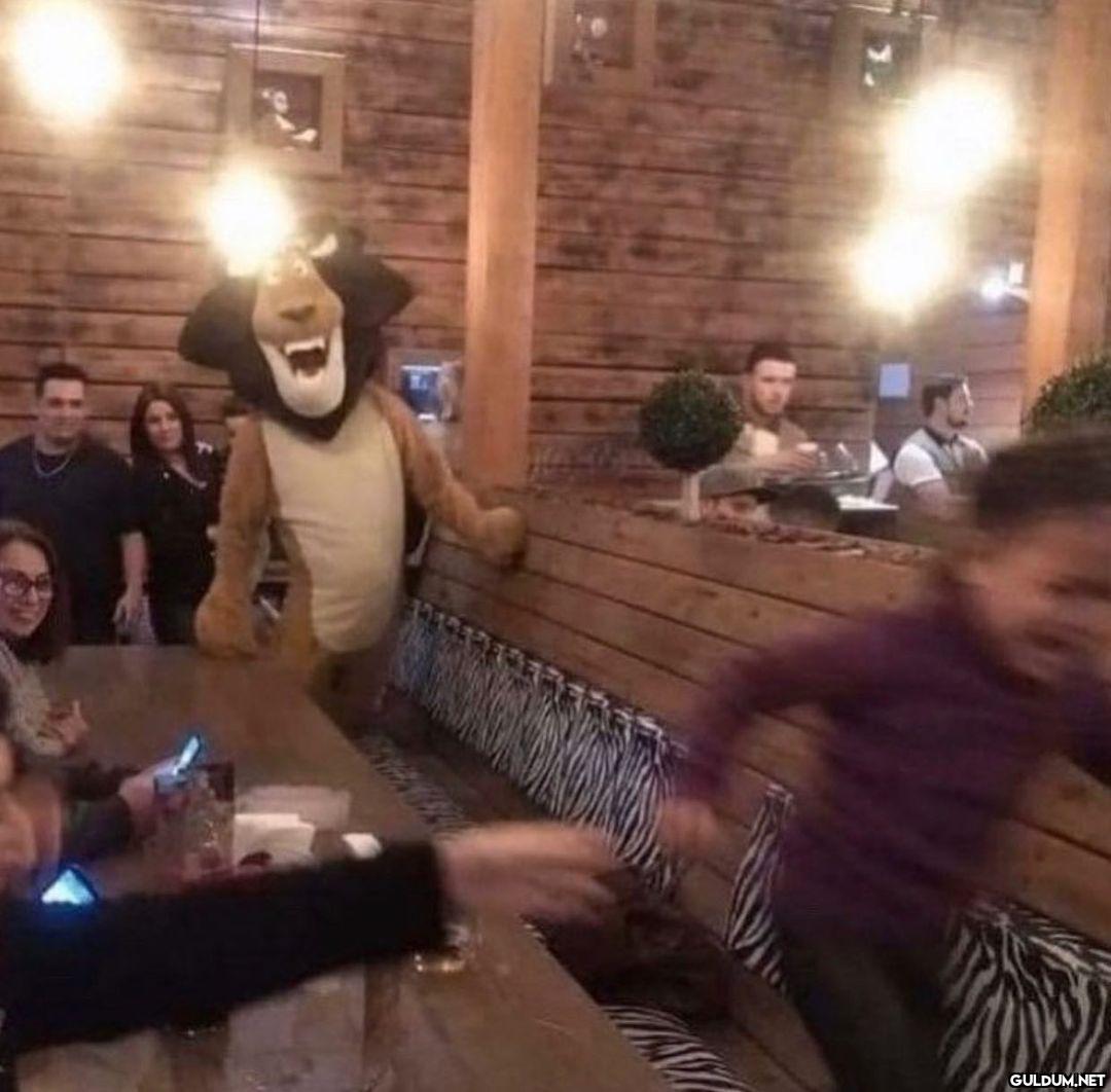 anlamsız fotoğraflar 29364  Kaynak