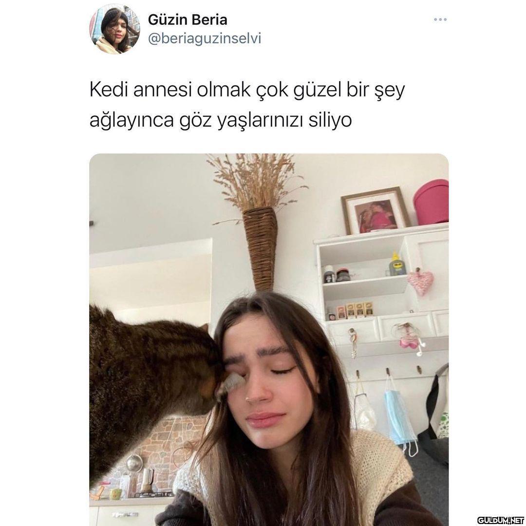 Güzin Beria...