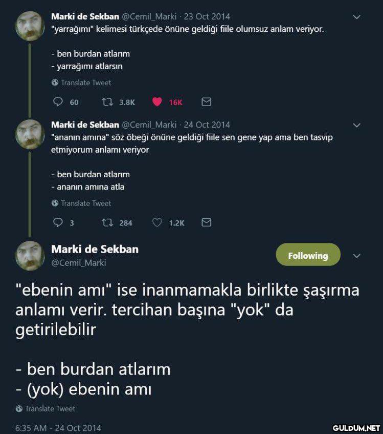 Dil bilgisi desen var...
