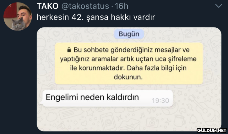 TAKO @takostatus · 16h...