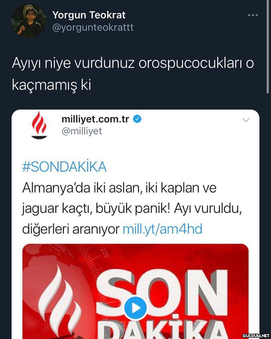 Çok sinirliyim şu an ...