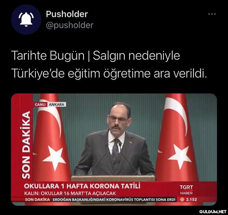 Pusholder @pusholder...