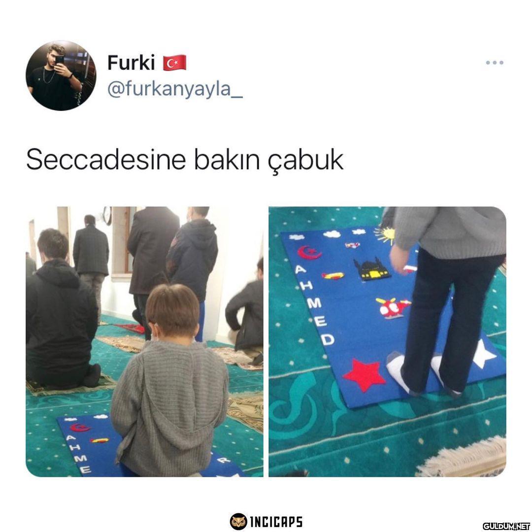 Furki a C* ......